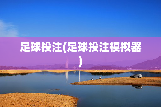 足球投注(足球投注模拟器)