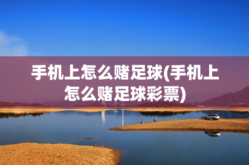 手机上怎么赌足球(手机上怎么赌足球彩票)