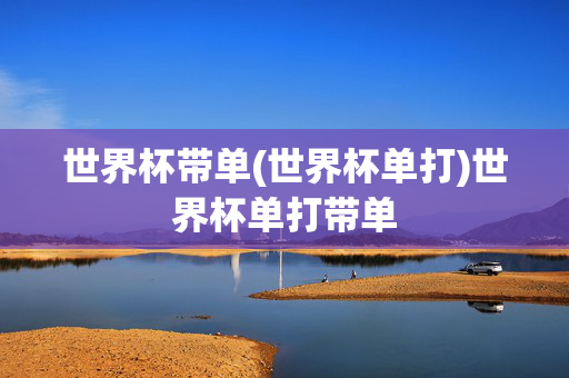 世界杯带单(世界杯单打)世界杯单打带单