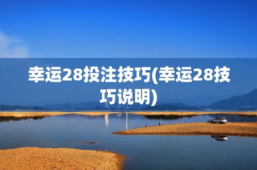 幸运28投注技巧(幸运28技巧说明)