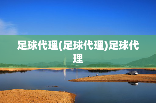 足球代理(足球代理)足球代理
