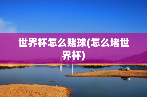世界杯怎么赌球(怎么堵世界杯)