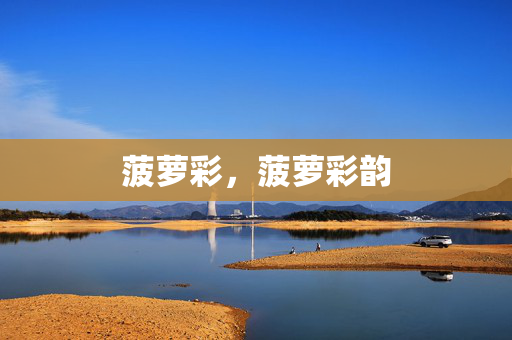 菠萝彩，菠萝彩韵