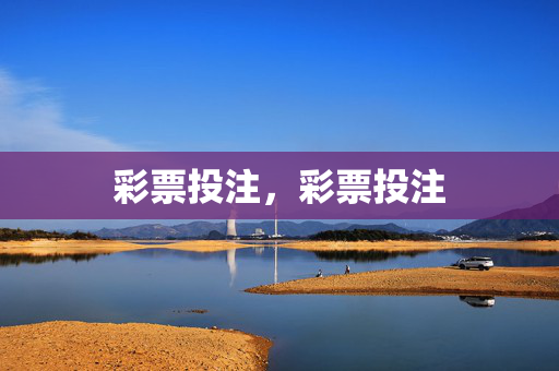 彩票投注，彩票投注