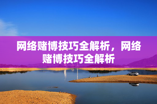 网络赌博技巧全解析，网络赌博技巧全解析