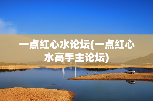 一点红心水论坛(一点红心水高手主论坛)
