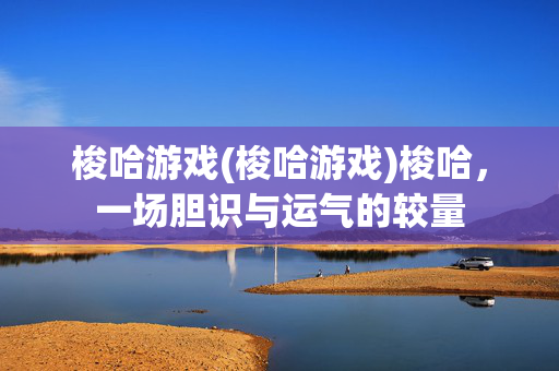 梭哈游戏(梭哈游戏)梭哈，一场胆识与运气的较量