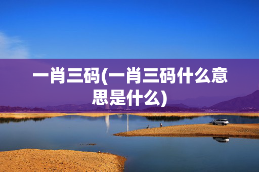 一肖三码(一肖三码什么意思是什么)
