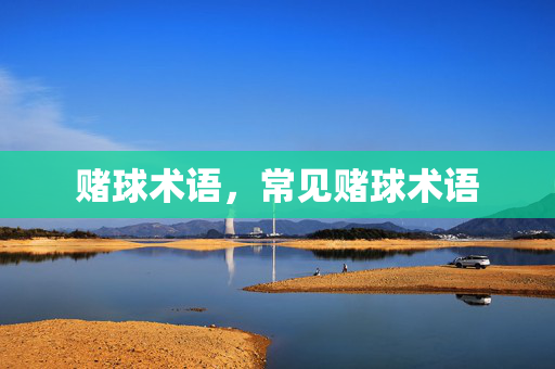赌球术语，常见赌球术语