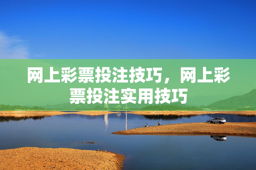网上彩票投注技巧，网上彩票投注实用技巧