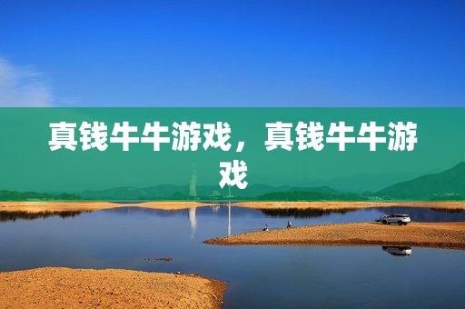 真钱牛牛游戏，真钱牛牛游戏