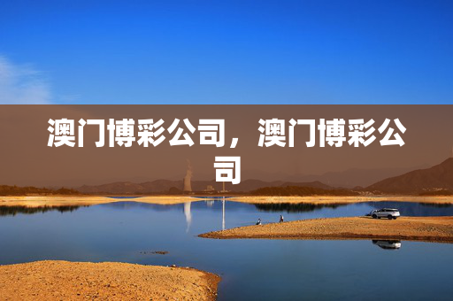 澳门博彩公司，澳门博彩公司