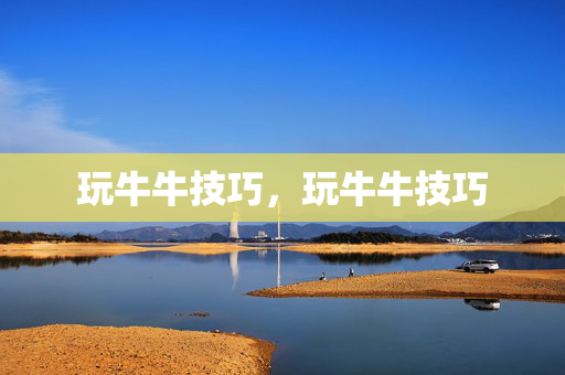 玩牛牛技巧，玩牛牛技巧
