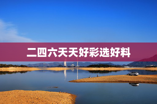 二四六天天好彩选好料