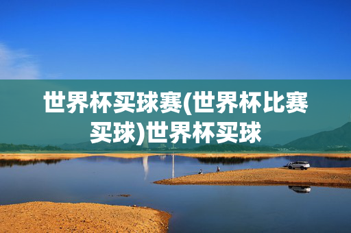世界杯买球赛(世界杯比赛买球)世界杯买球