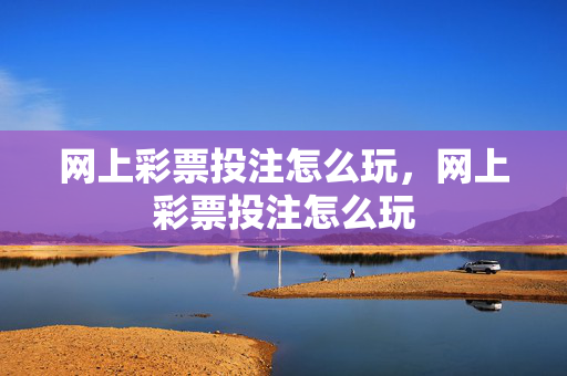 网上彩票投注怎么玩，网上彩票投注怎么玩