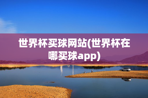世界杯买球网站(世界杯在哪买球app)