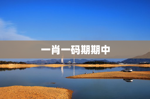 一肖一码期期中