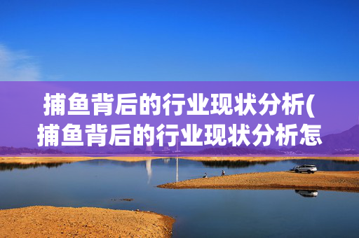 捕鱼背后的行业现状分析(捕鱼背后的行业现状分析怎么写)捕鱼背后的行业现状深度解析