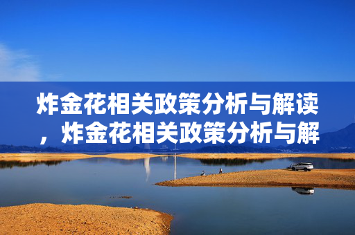 炸金花相关政策分析与解读，炸金花相关政策分析与解读