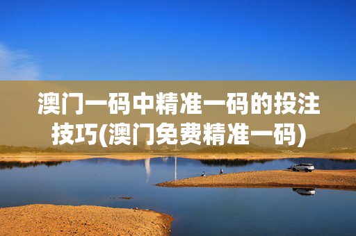澳门一码中精准一码的投注技巧(澳门免费精准一码)