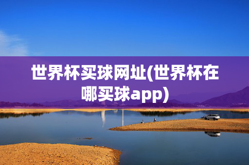 世界杯买球网址(世界杯在哪买球app)