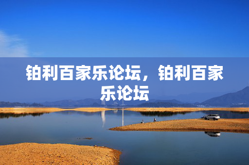 铂利百家乐论坛，铂利百家乐论坛