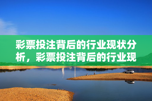 彩票投注背后的行业现状分析，彩票投注背后的行业现状透视