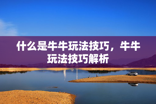 什么是牛牛玩法技巧，牛牛玩法技巧解析