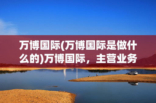 万博国际(万博国际是做什么的)万博国际，主营业务概览