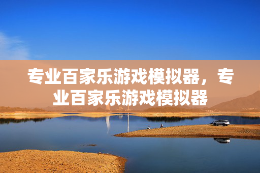 专业百家乐游戏模拟器，专业百家乐游戏模拟器