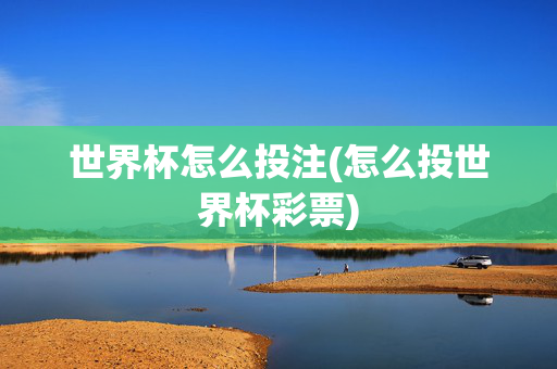 世界杯怎么投注(怎么投世界杯彩票)