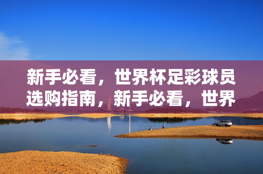 新手必看,世界杯足彩球员选购指南,新手必看,世界杯足彩球员选购指南