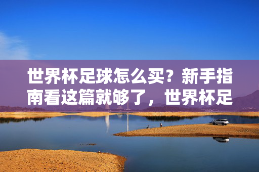 世界杯足球怎么买?新手指南看这篇就够了,世界杯足球怎么买?新手一篇就够了