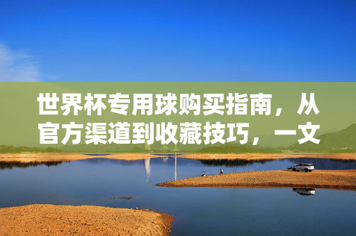世界杯专用球购买指南,从官方渠道到收藏技巧,一文搞定,世界杯官方用球购买指南,从官方渠道到收藏技巧全攻略