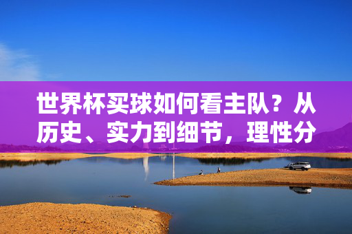世界杯买球如何看主队?从历史、实力到细节,理性分析助你精准下注,世界杯买球看主队,历史实力细节理性分析,助精准下注