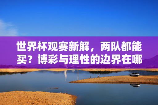世界杯观赛新解，两队都能买？博彩与理性的边界在哪里？世界杯观赛，两队都能买的博彩困境与理性边界