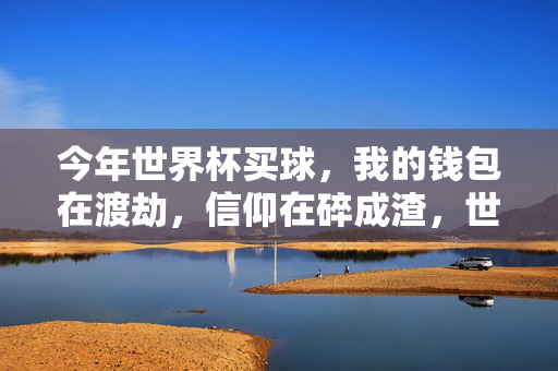 今年世界杯买球，我的钱包在渡劫，信仰在碎成渣，世界杯买球，钱包渡劫，信仰碎成渣