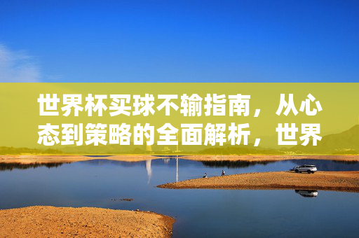 世界杯买球不输指南，从心态到策略的全面解析，世界杯买球不输全攻略，从心态到策略