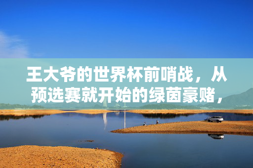 王大爷的世界杯前哨战，从预选赛就开始的绿茵豪赌，王大爷的世界杯前哨战，预选赛绿茵豪赌