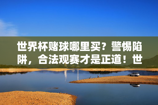 世界杯赌球哪里买？警惕陷阱，合法观赛才是正道！世界杯赌球陷阱多，合法观赛才是正道！