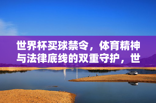 世界杯买球禁令，体育精神与法律底线的双重守护，世界杯买球禁令，体育精神与法律底线的双重守护