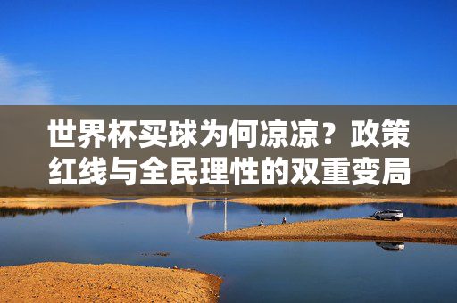 世界杯买球为何凉凉？政策红线与全民理性的双重变局，世界杯买球遇冷，政策红线与全民理性的双重变局