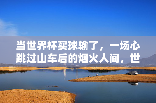 当世界杯买球输了，一场心跳过山车后的烟火人间，世界杯买球输，心跳过山车后的烟火人间