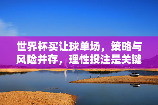 世界杯买让球单场，策略与风险并存，理性投注是关键，世界杯让球单场，策略风险并存，理性投注为要