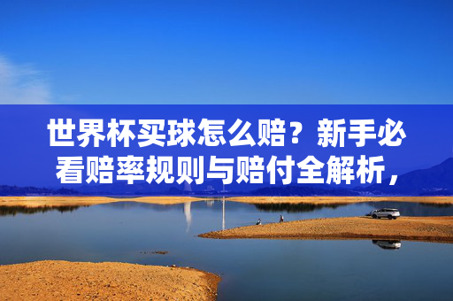世界杯买球怎么赔？新手必看赔率规则与赔付全解析，世界杯买球怎么赔？新手必看的赔率与赔付规则全解析