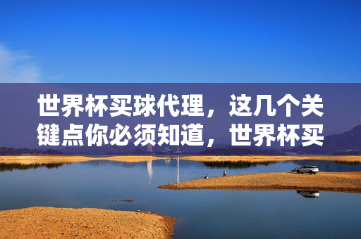 世界杯买球代理，这几个关键点你必须知道，世界杯买球代理，这几个关键点你必须知道