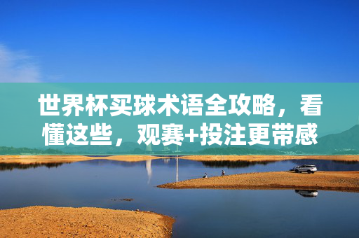 世界杯买球术语全攻略，看懂这些，观赛+投注更带感！世界杯买球术语全攻略，看懂这些，观赛投注更带感！