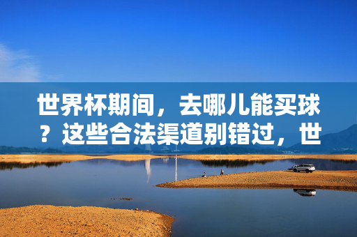 世界杯期间，去哪儿能买球？这些合法渠道别错过，世界杯期间合法买球渠道指南