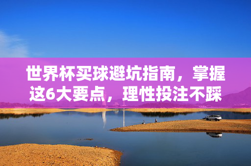 世界杯买球避坑指南，掌握这6大要点，理性投注不踩雷，世界杯买球避坑指南，6要点助理性投注不踩雷
